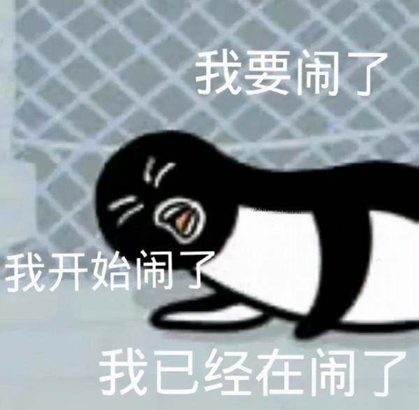 黑命貴大戰藍命貴 黑命貴大戰藍命貴