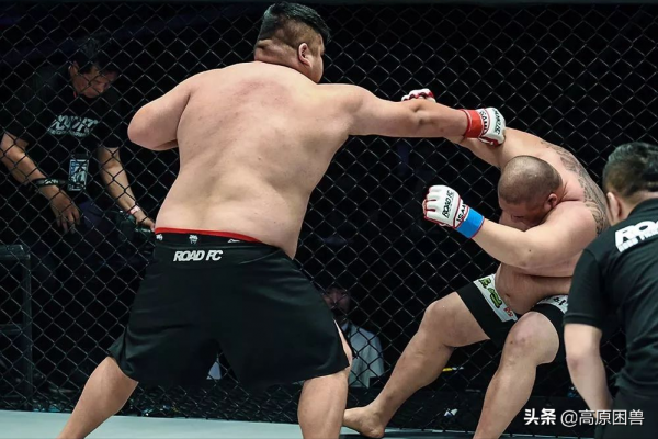 別小看胖子！功夫熊貓聽過沒？他血洗賽場，揚威海外