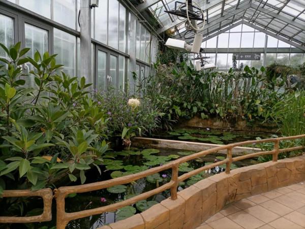 週末遛娃好去處，中科院植物研究所