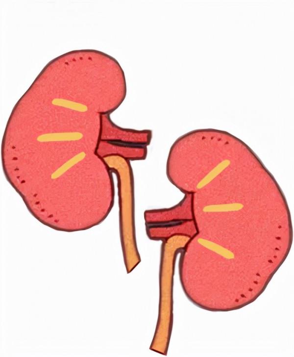 口苦肝堵，口甜脾黏，口酸胃翻：口中有異味是怎麼回事？