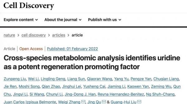像金剛狼復活？中國科學家發現“再生”物質，這些食物中含量較高