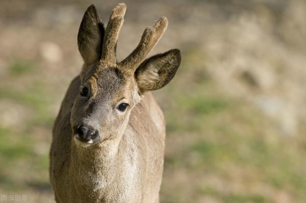有關黑龍江省的二十二個冷知識，你知道多少個？