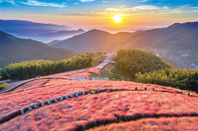 美麗鄉村 秋色迷人