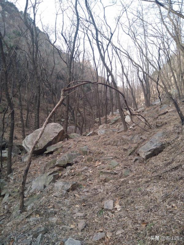 獨行泰山之走三梁