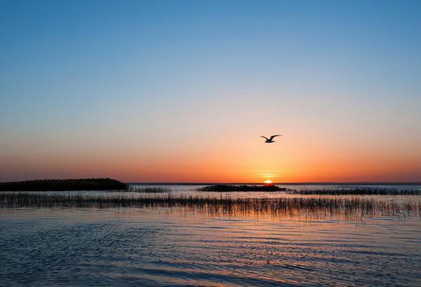 “大漠孤煙直,長河落日圓”,去看看王維筆下沙漠中的那個居延海 “大漠孤煙直,長河落日圓”,去看看王維筆下沙漠中的那個居延海