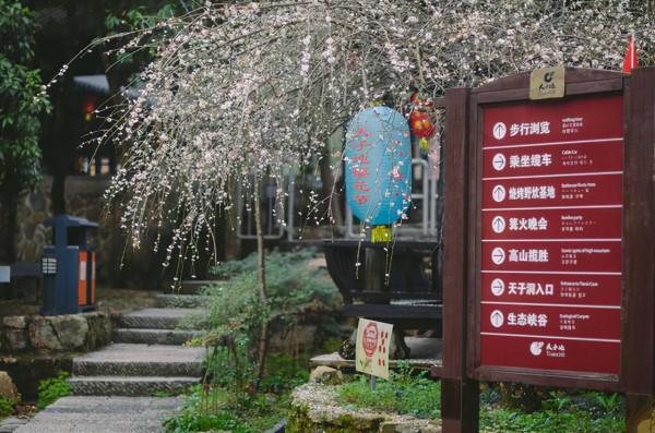 浙江一冷門景區,原始生態儲存完好,有深山老林中的綠色明珠之稱 浙江一冷門景區,原始生態儲存完好,有深山老林中的綠色明珠之稱