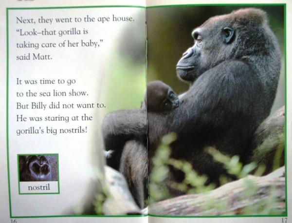 兒童英語科學啟蒙繪本DK Readers分級讀物DK pre--level 4