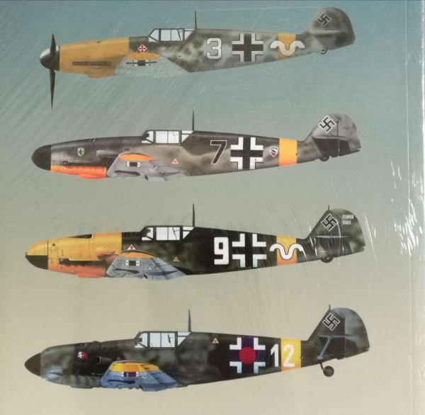 二戰撒旦式的德空軍，一個空中聯隊創造了擊落10800架戰機的紀錄