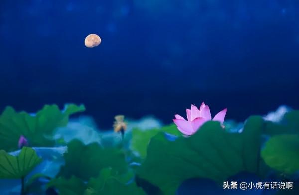 《荷塘月色》為何要被刪除?朱自清的文章有這麼差嗎? 《荷塘月色》為何要被刪除?朱自清的文章有這麼差嗎?