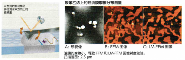 掃描探針電子顯微鏡力學特性