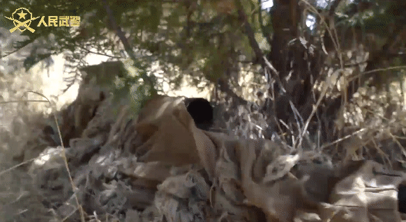 立一等功的女士官，提幹了