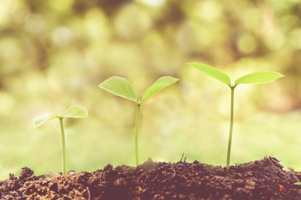 解《易經》&mdash;&mdash;無妄卦六二爻