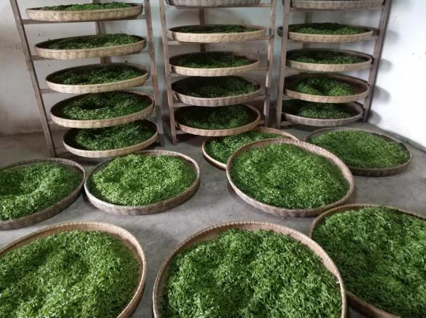 別以為留守農村的人都是一貧如洗，在農村年收入20萬也是有的