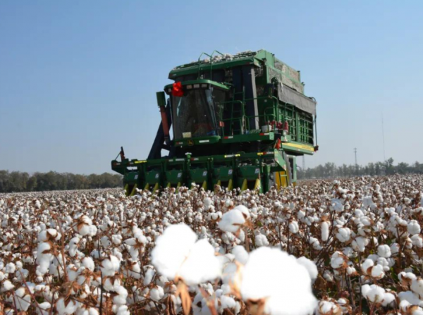 人民日報警告英特爾後，多家美企搶做出頭鳥，從網店下架新疆商品