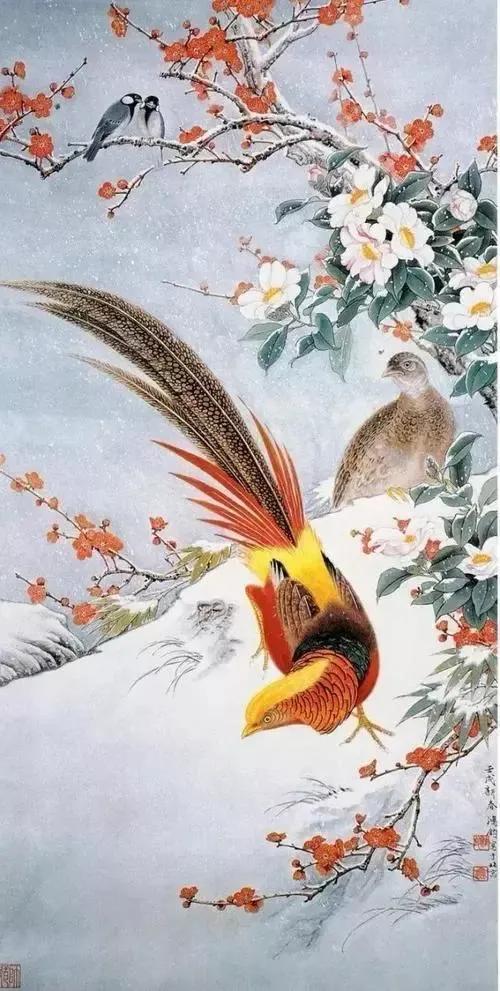 大自然的小精靈——花鳥