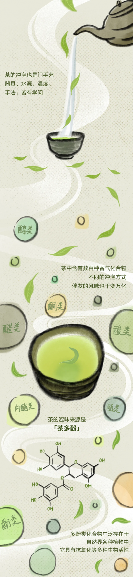 經常喝茶，好處有多大？