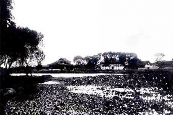 曾國藩結婚當天,新娘子突然悔婚,媒人過意不去:娶我女兒吧 曾國藩結婚當天,新娘子突然悔婚,媒人過意不去:娶我女兒吧