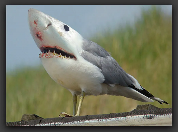 創意｜神奇動物在哪裡？這組作品激發你的想象力