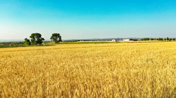 組圖 | 六盤山下好風光——夏日田園美景如畫 組圖 | 六盤山下好風光——夏日田園美景如畫