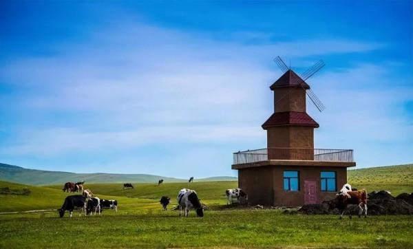 中國最美的9大草原，一輛車，三五好友，就可以馳騁在草原上