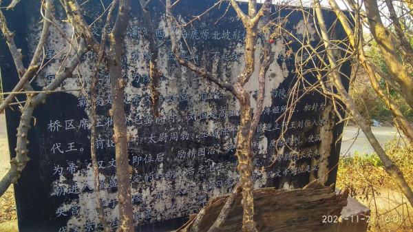 再訪漢文帝霸陵