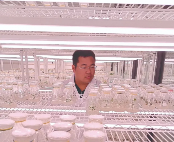 創青年 | 吃不好睡不好 也要把花生新品種培育好