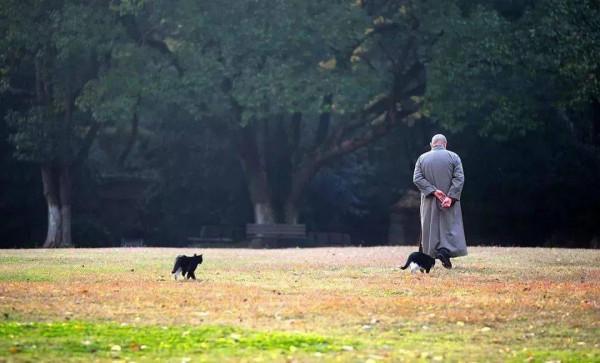 如何放下自己？佛說：所謂放下，就是去除你的4種心