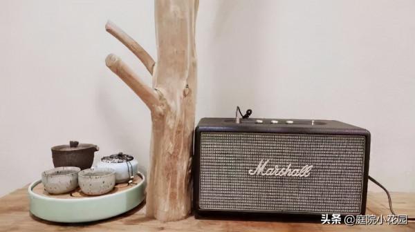 70後文藝大叔，用6年建400㎡院子，每天喝茶做飯，瀟灑生活