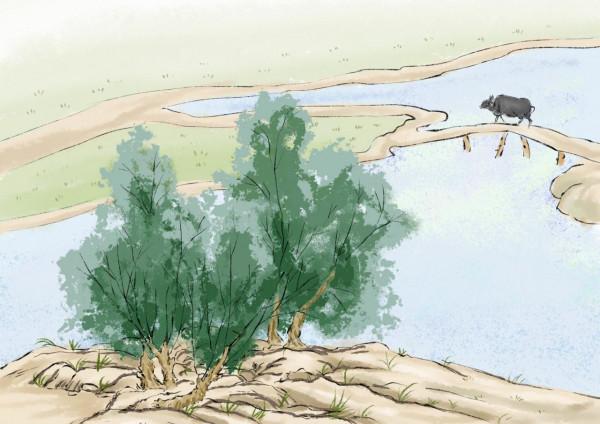 人到了四五十歲，突然不喜歡去別人家串門，往往是這幾種心態