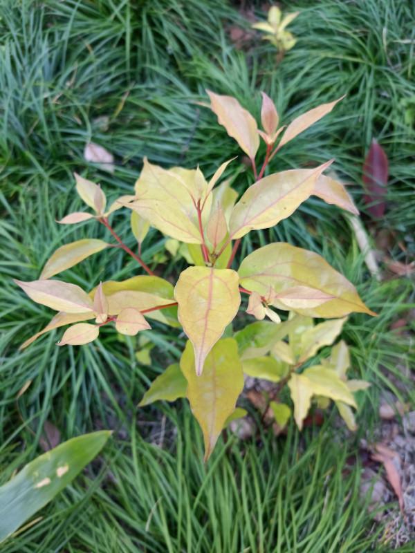 苦守大魚不如改變釣法，說不定也會有驚喜