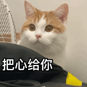 四六級出分在即！這份查分攻略請收好