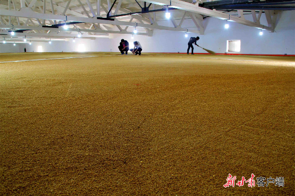 甘肅糧食市場購銷順暢 庫存充足 供應有保障 甘肅糧食市場購銷順暢 庫存充足 供應有保障