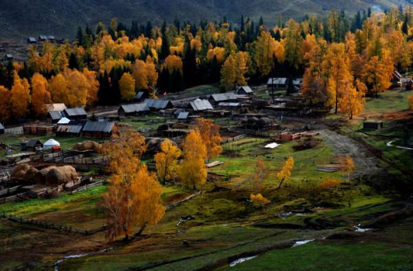 你想要來的新疆2022年是這樣的