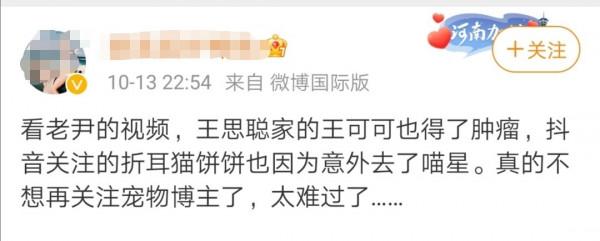 動物世界：從狗生贏家王可可開始，扒一扒各路明星斥巨資養的寵物