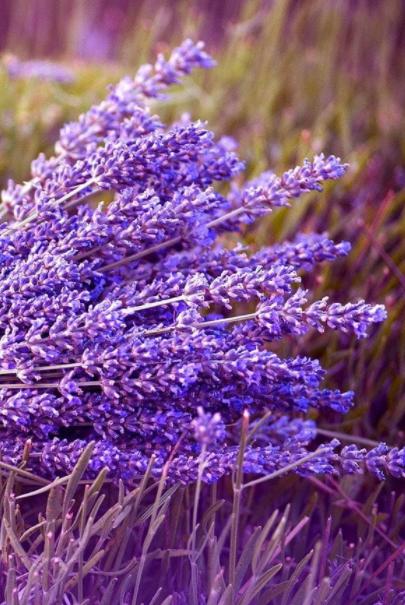 散文:人到中年,欲說還休,天涼好個秋 散文:人到中年,欲說還休,天涼好個秋