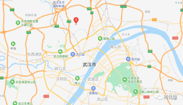 商朝-城池-湖北黃陂盤龍城