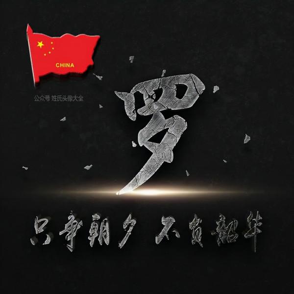 200張正能量姓氏頭像，張張精品，只爭朝夕 不負韶華