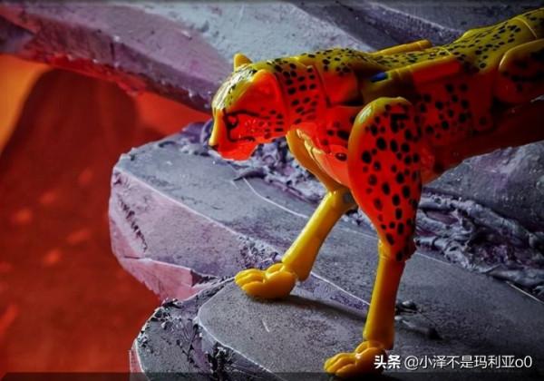 變形金剛《王國》系列紅黑榜大盤點！哪些值得買看完你就知道了