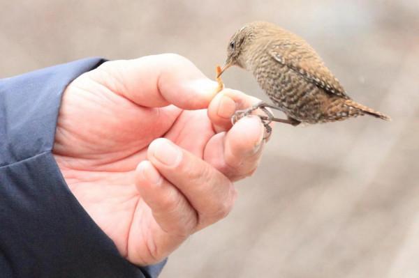 淵源共生，和諧共融