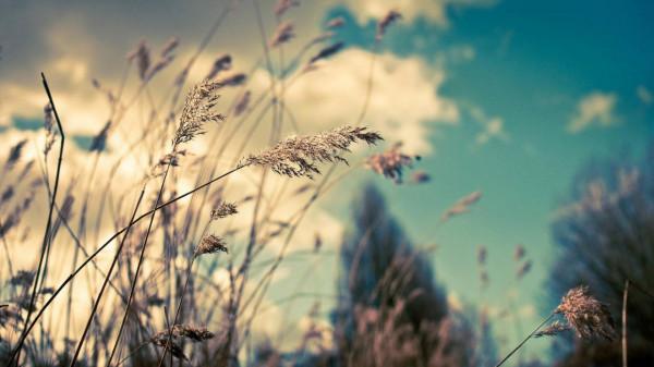 情商高的人明白，朋友遇到難事，有3句安慰人的話不能說