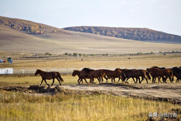 中秋佳節去哪裡,賞秋勝地,濃墨重彩的烏蘭布統秋景 中秋佳節去哪裡,賞秋勝地,濃墨重彩的烏蘭布統秋景