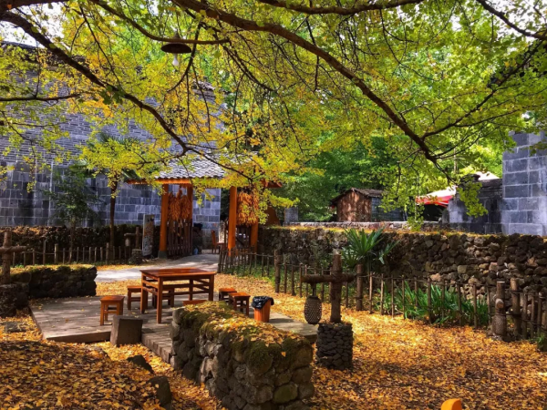 南國的樹葉，北國的白雪，這麼美的季節，怎忍心辜負？出發吧