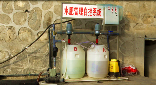 阿克塞縣溫室大棚綠意濃 設施農業促增收 阿克塞縣溫室大棚綠意濃 設施農業促增收