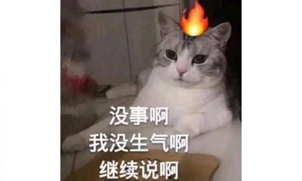 在成都,被一所中學凡爾賽了 在成都,被一所中學凡爾賽了