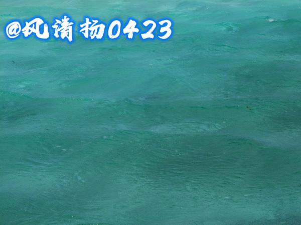 西沙行二篇（21——332）