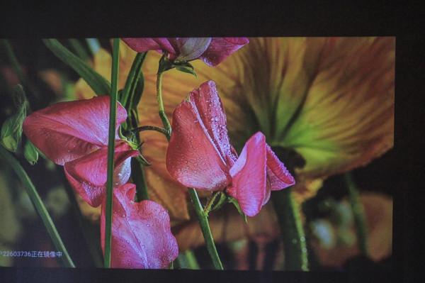 HOMAX享受家庭巨幕電影：泰捷WEBOX T1s智慧投影