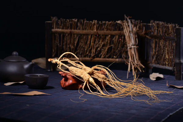 服用人參就上火，為什麼乾隆服用這麼多人參卻不上火？原來有講究