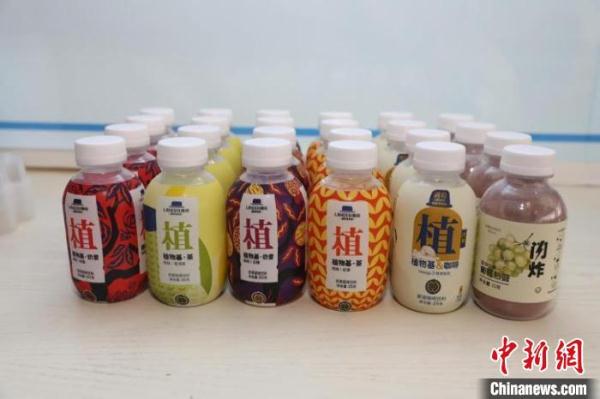 科研團隊解決核桃蛋白綜合利用、核桃油抗氧化能力差等技術難題 科研團隊解決核桃蛋白綜合利用、核桃油抗氧化能力差等技術難題