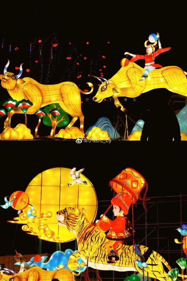 全國元宵燈會，屬於中國人的浪漫！壯觀，震撼