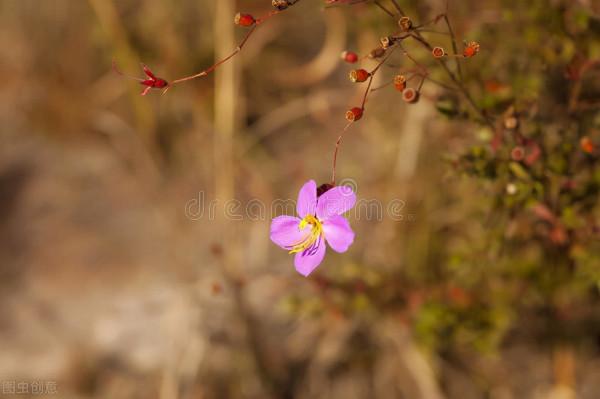 54歲阿姨傾訴：退休的日子能否過得舒暢清閒，就看這四點是否擁有